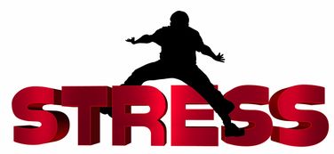 开云体育官方网站登陆-NBA球员心理压力识别及干预技术研究,nba球员性格问题
