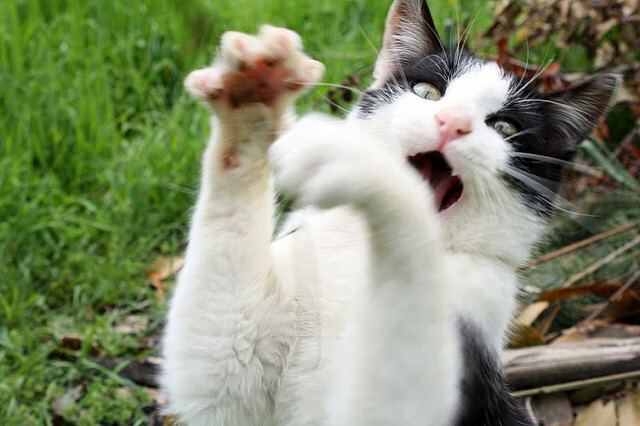 开yun官网-“拳击新星崛起：四川省体育馆拳击赛，年轻选手挑战老将，格局重塑”