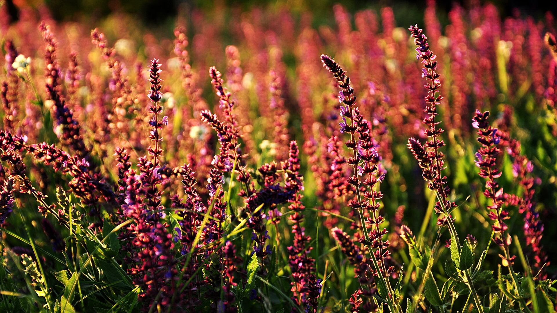 kaiyun登录入口-“高新体育中心:健力赛选手刷新纪录,力量与技巧的完美结合”