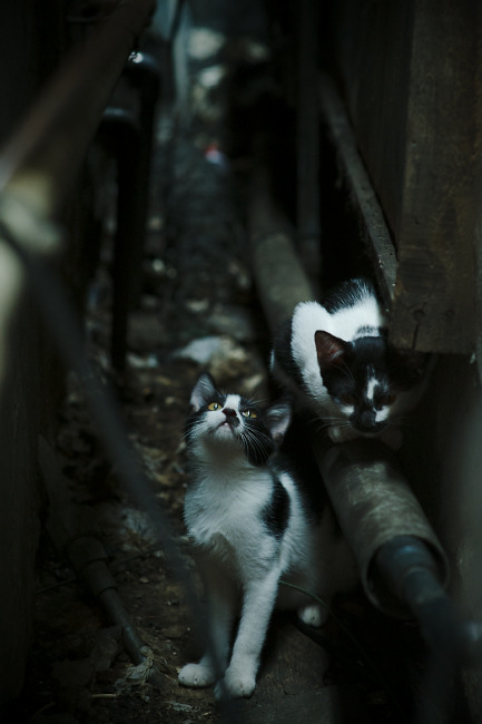 kaiyun网站-中国女篮战术调整取得成效 进攻更具威胁,中国女蓝战绩