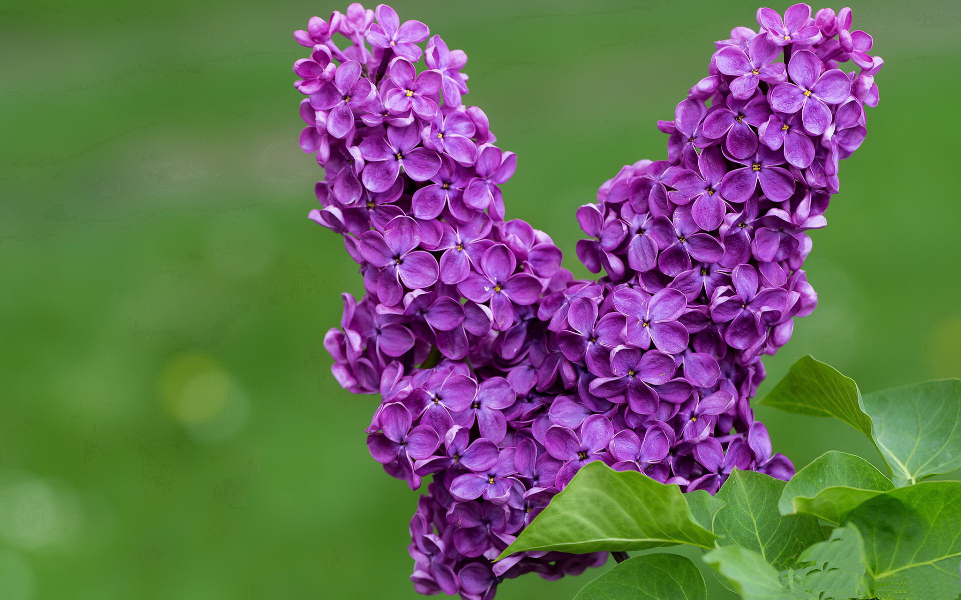 开云在线直播-奥运备战全面展开各项准备就绪,全力备战奥运会