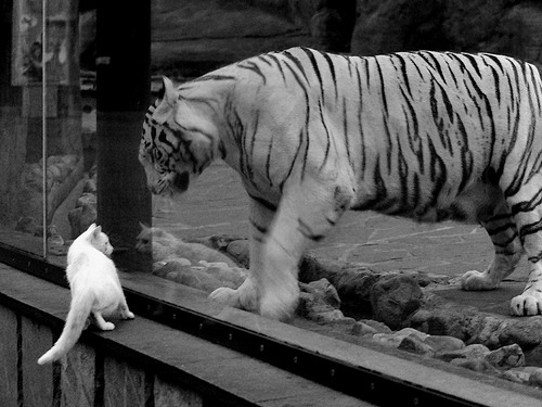 开云体育官网下载安装-世界篮联公布反兴奋剂教育计划,重申清洁竞争原则,世界反兴奋剂机构人员组成