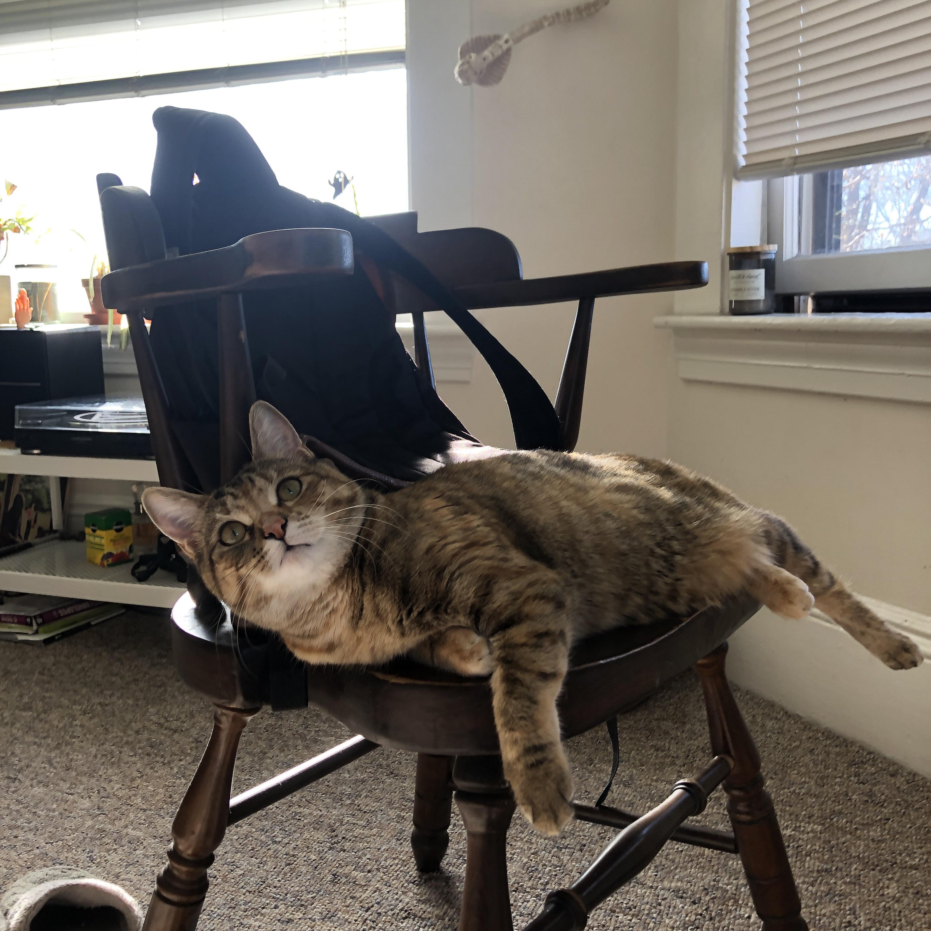 开云网页版-中国女篮战术风格多变适应不同比赛节奏,中国女篮战术分析