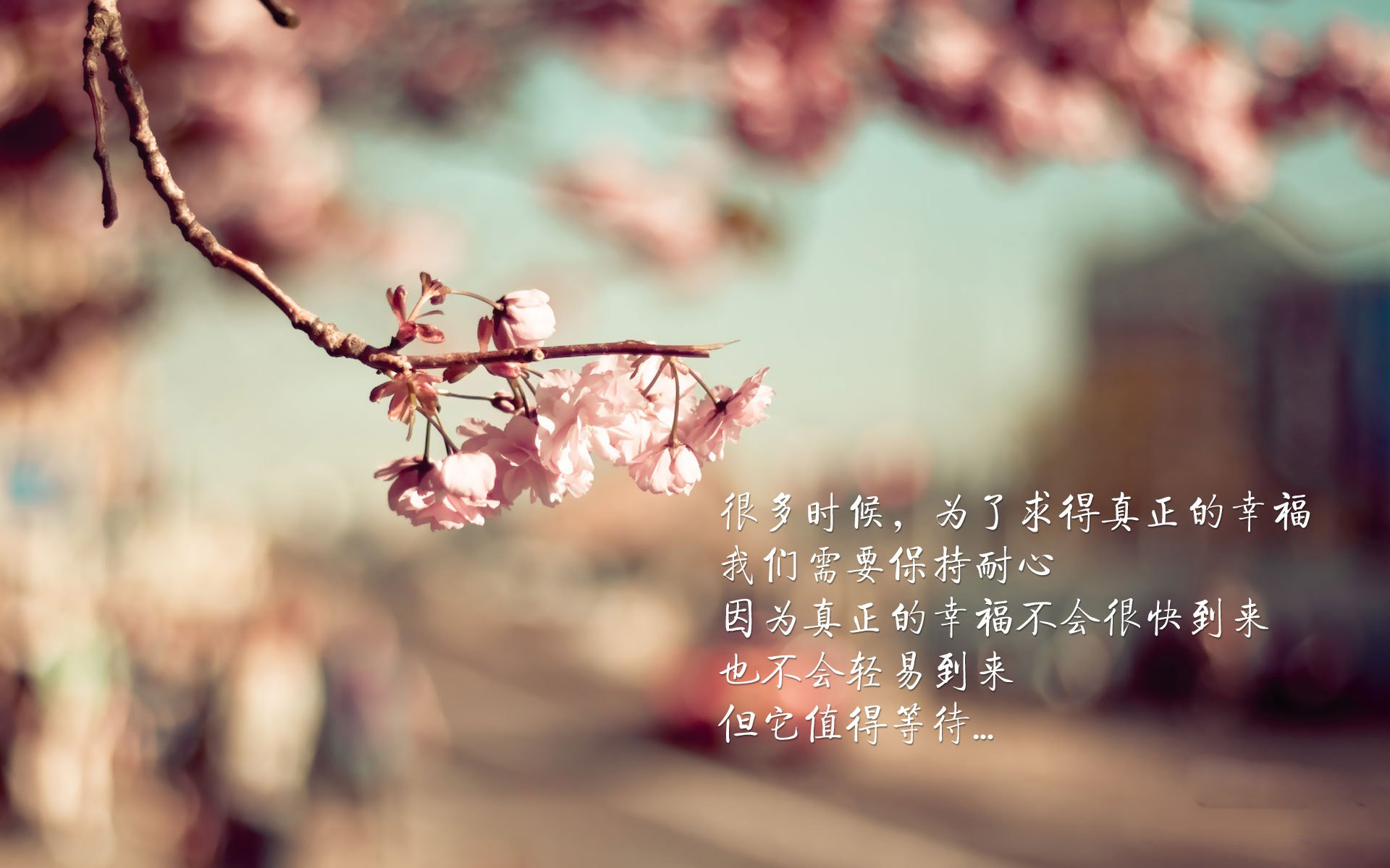 开云APP-中国足球职业俱乐部青训教练员能力提升计划,中国足协精英青训教练培训课程