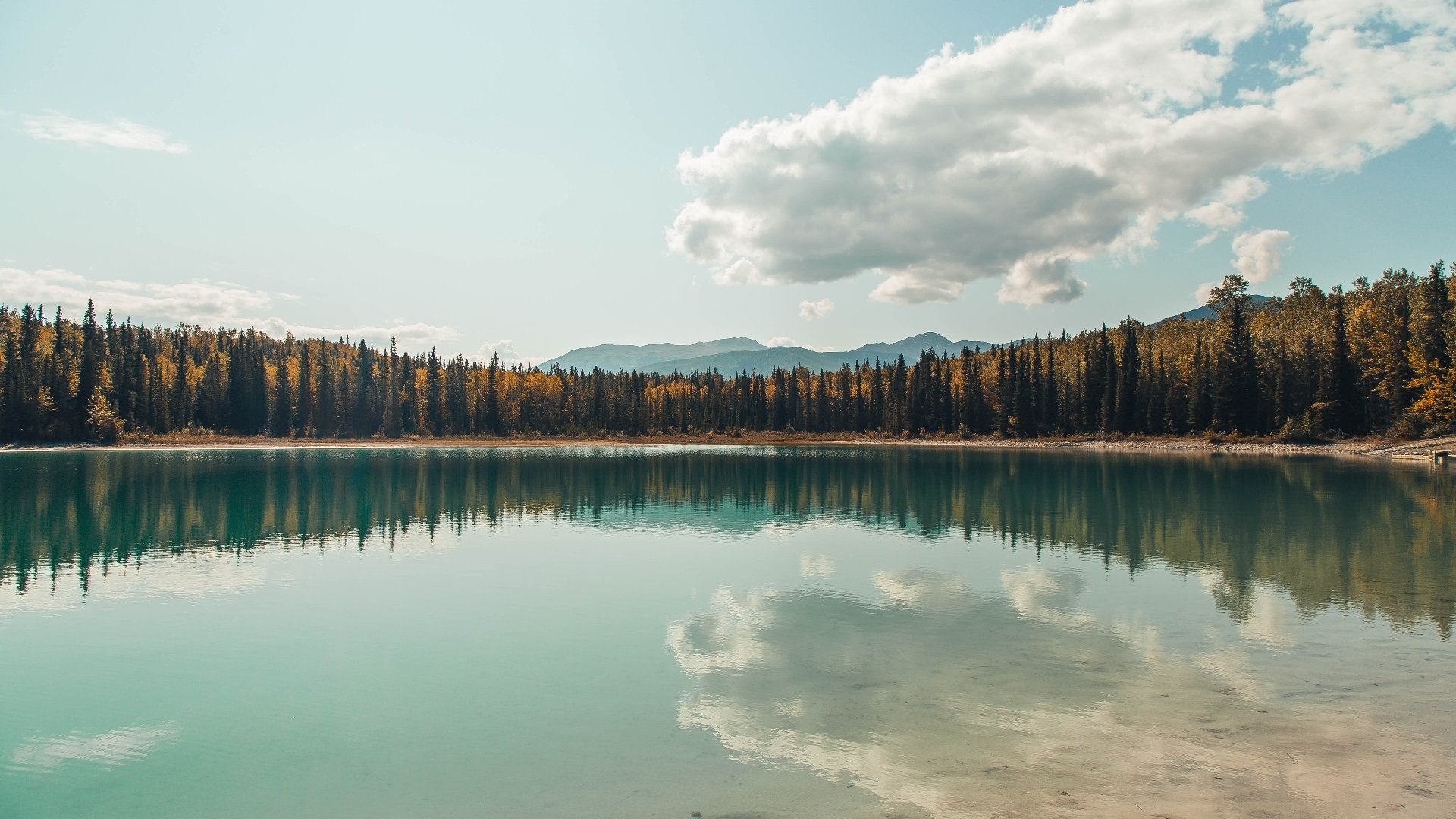开云官方网站-中国足球联赛数据分析应用深入支持球队战术,我国足球联赛