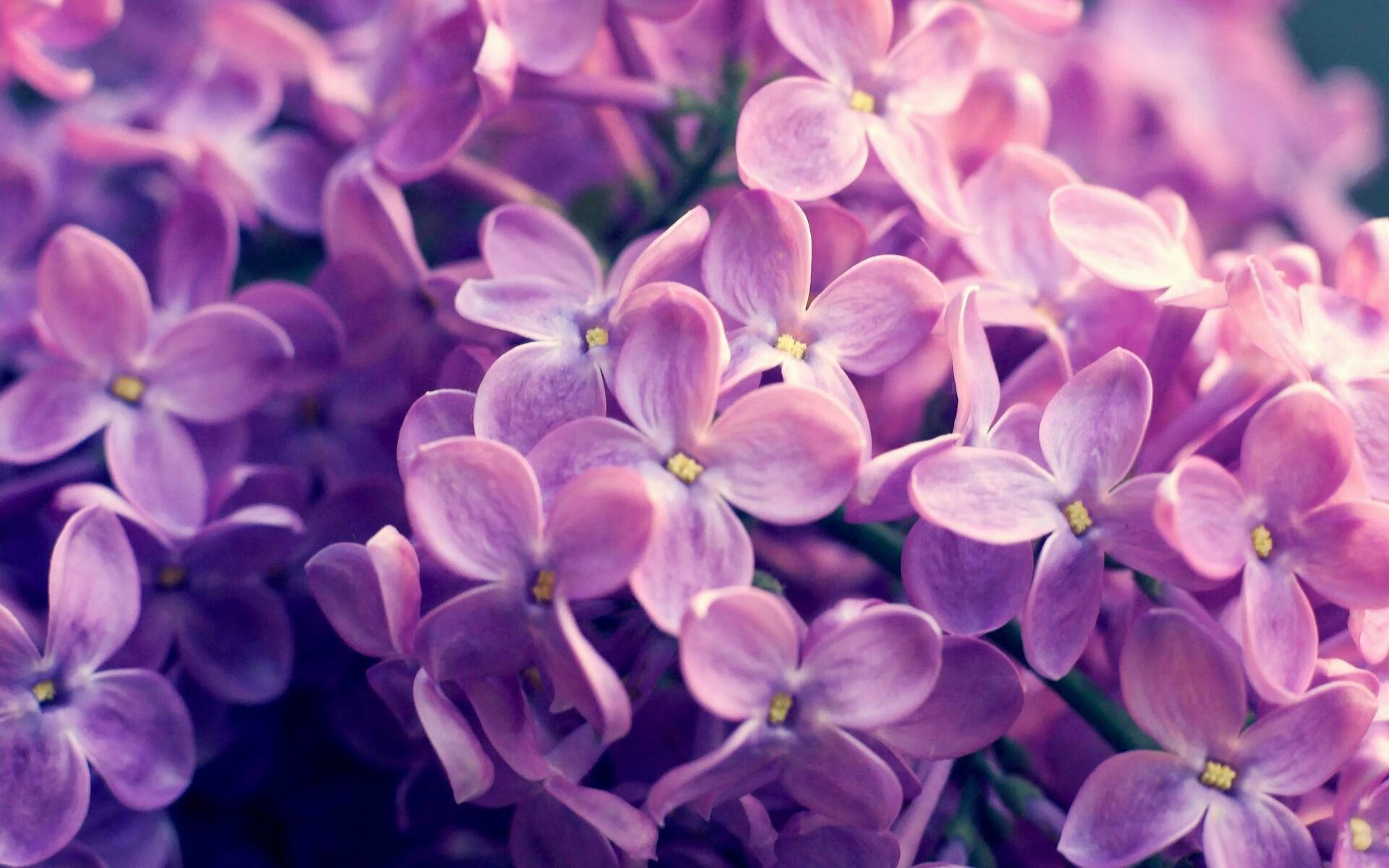 开云体育全站-亚历克斯·格林伍德以强悍防守,成为袋鼠队的后防屏障,格林伍德球员