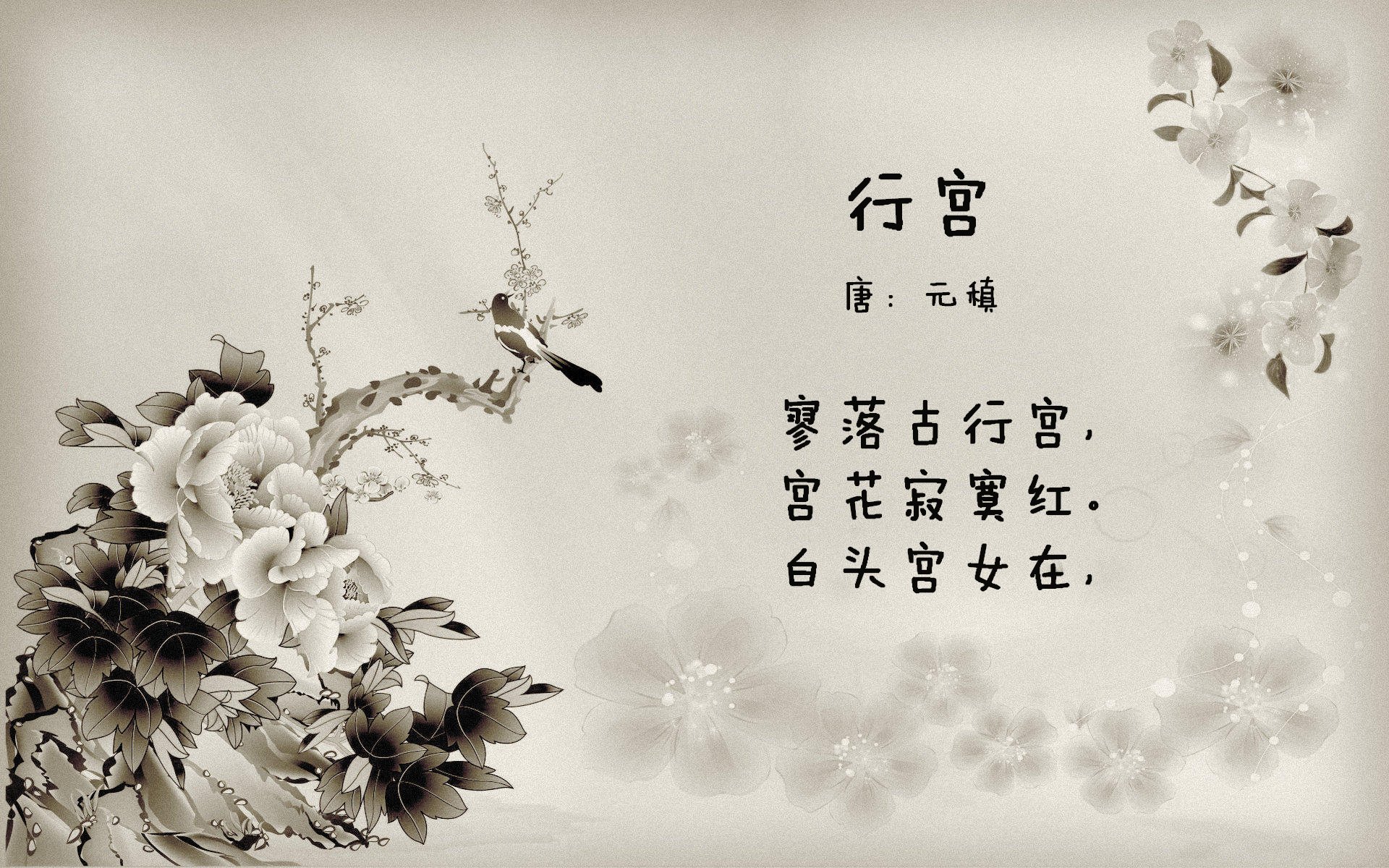 开云网页版登录入口-体育品牌赞助青训项目开展装备公益发放计划,体育用品捐款排名