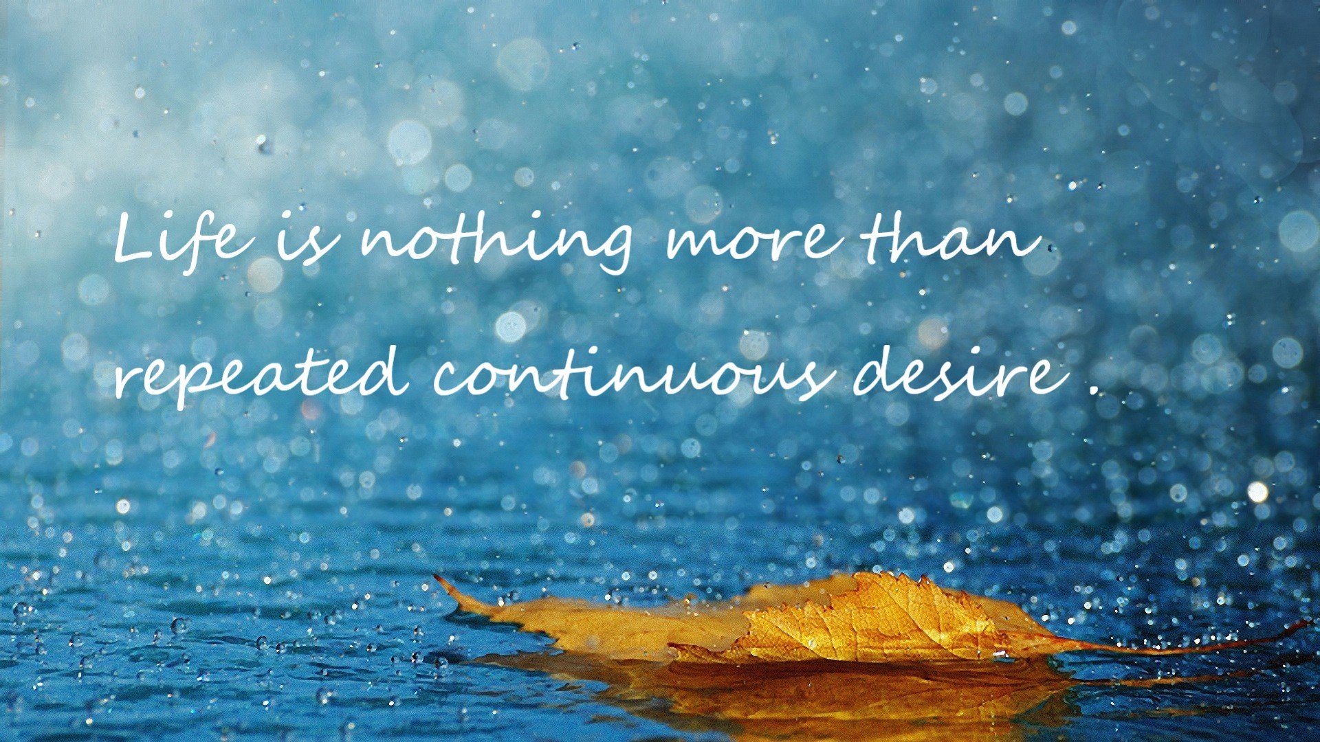 开云备用-塞尔维亚女篮在欧洲锦标赛中表现出色,力争最高奖牌,塞尔维亚女兰